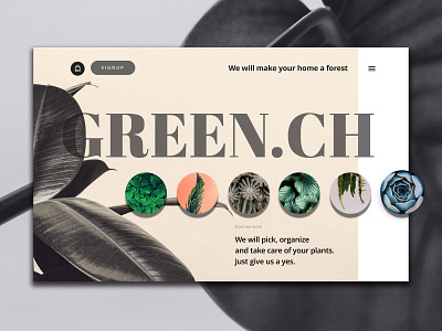 Plant Shop app brand challenge clean design desktop desktop app experiment flower fun green horizontal scroll illustration plant retro simple typography ui ux web