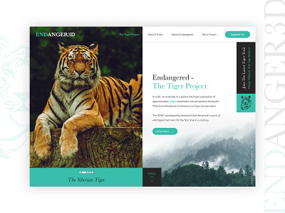 Daily Exploration - Day 3 animation branding coloful concept concept design daily dark design endangered endangeredspecies illustration interface interface design logo practice tiger typography ui ux web