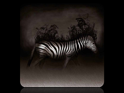 Smoking Zebra