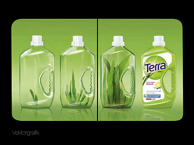 Terra Vector Graphic artwork terra vector