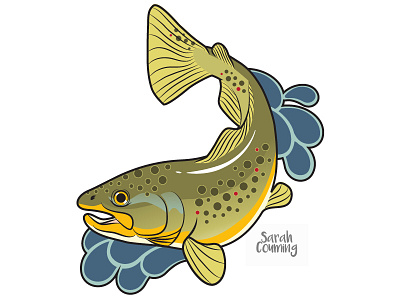 Brown Trout adobe brown trout design fish illustration logo trout