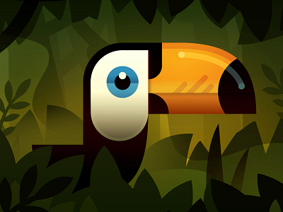 Toucan bird jungle toucan