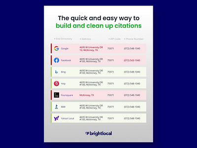 BrightLocal - Video Ads video view