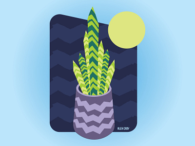 Snake Plant art design graphic design houseplants illustration plants vector