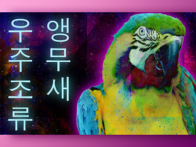 Parrot Wallpaper korean parrot photocollage photoshop spae tropical wallpaper