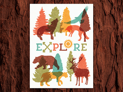 Explore Nature Print_BRD_11-7-20 animals design graphic art illustration nature procreate trees wild