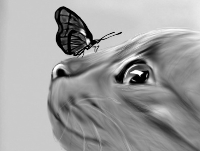 Digital Cat Drawing butterfly cat digital digitaldrawing drawing