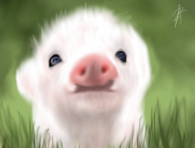 Digital Piglet Drawing app art cute drawing pig piglet