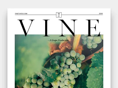 Daily Dose of Design: 034 34 cover daily dose of design ddod design lucas berghoef magazine vine