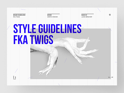 Style Guidelines - FKA twigs design fka twigs guide style