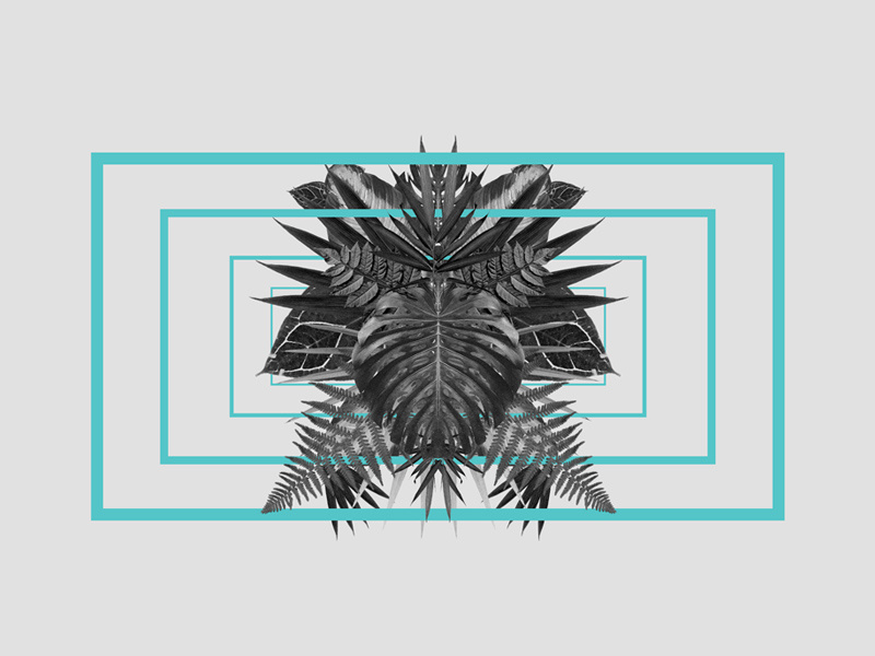 Tropical Plant design motion tropical plant grey blue white black bw black and white fashion