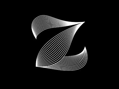 Z 36 days of type 36 days of type lettering adobe black white challenge fontface lettering minimal typeface typography