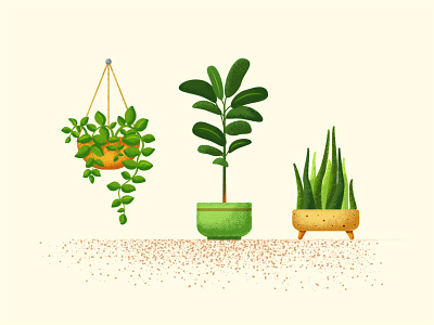 Plant's vector set design green illustration interior leafs plant set vector