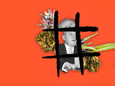 Cannabis cannabis collage diplomats drugs editorial editorial illustration education illustration marijuana policy politics weed