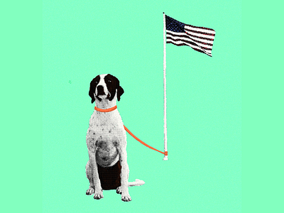 The Dogs always Die collage design dog dogs editorial editorial illustration flag illustration law enforcement politics swat