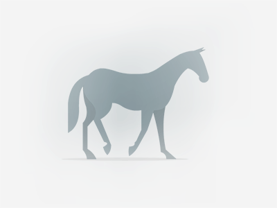Horse in the mist. horse illustration animal gif animation mist 2d