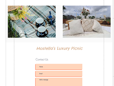 Luxuy Picnic Business Website