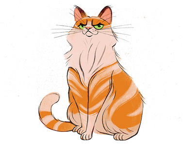 Arrogant Cat 2d animals animation branding cat character illustration pets ui ux vector