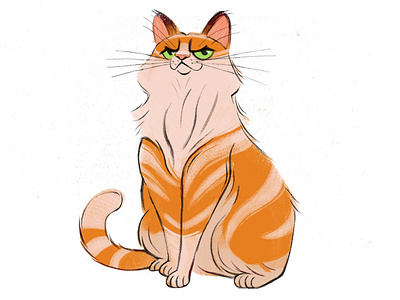 Arrogant Cat 2d animals animation branding cat character illustration pets ui ux vector