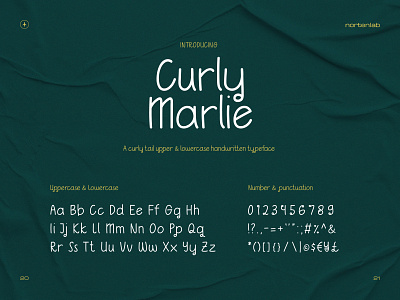 Curly Marlie Typeface branding design font graphic design typeface typography