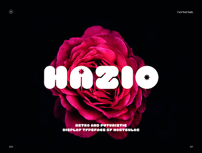 Hazio Typeface design font pop retro typeface typography