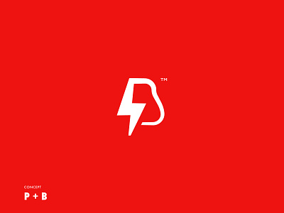 P & B concept logo branding design dribbble illustration logo typography vector