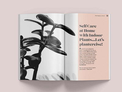 Pianta Magazine - Inner spread 1 design graphic design houseplant magazine plant publication