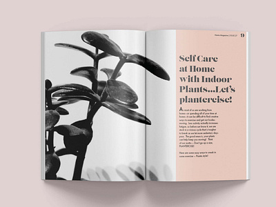 Pianta Magazine - Inner spread 1 design graphic design houseplant magazine plant publication