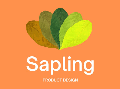 Sapling - Product Design design analysis graphic design product development user research