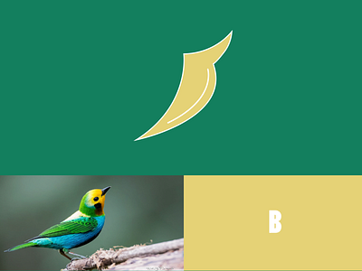 bird + B graphic design logo logo design logo designing minimalist modern logo