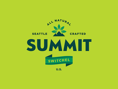 Summit Logo