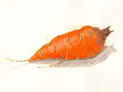 Carrot carrot garden gouache painting still life vegetable watercolor