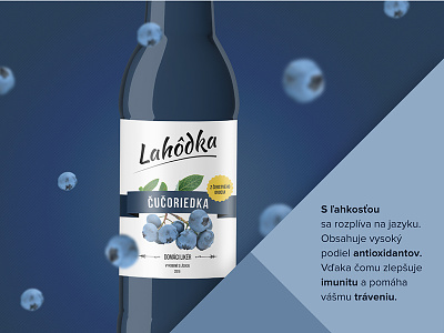 Lahodka Liquer label blackberry blueberry bottle label liquer raspberry tomas tomweb zubrik