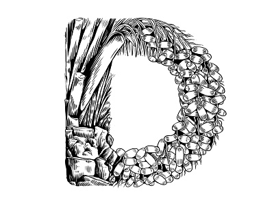 D for Dates black and white custom art digital lettering experimental typography