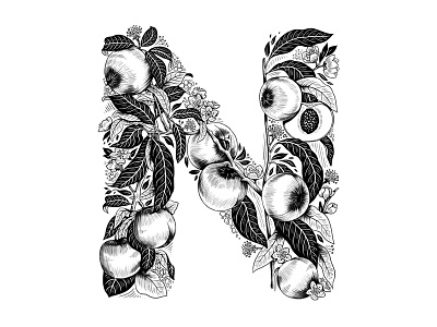 N for Nectarine black and white custom art digital lettering experimental typography