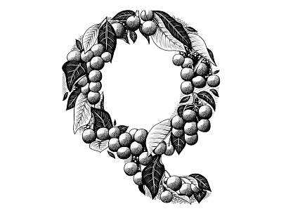 Q for Queen Anne Cherry black and white custom art digital lettering experimental typography