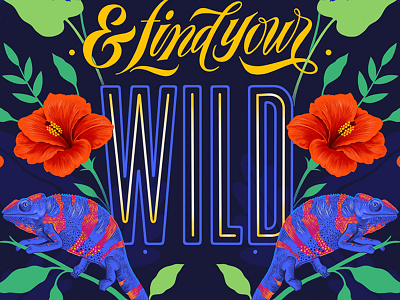 Find Your Wild custom art digital lettering experimental typography illustration lettering procreate typography