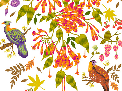 Decals for Asian Paints botanical botanical illustration custom art decal design floral illustration india print wall art