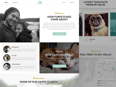 Furfetched Pet care WIP cat dog gold one page pet care teal web design website
