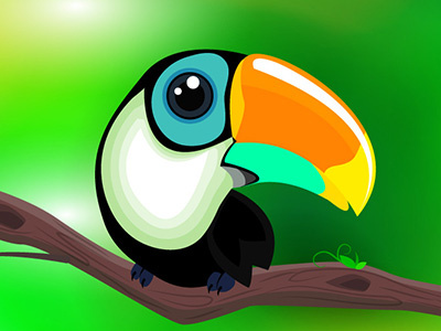 Toucan bird color drawing flat illustration toucan vector
