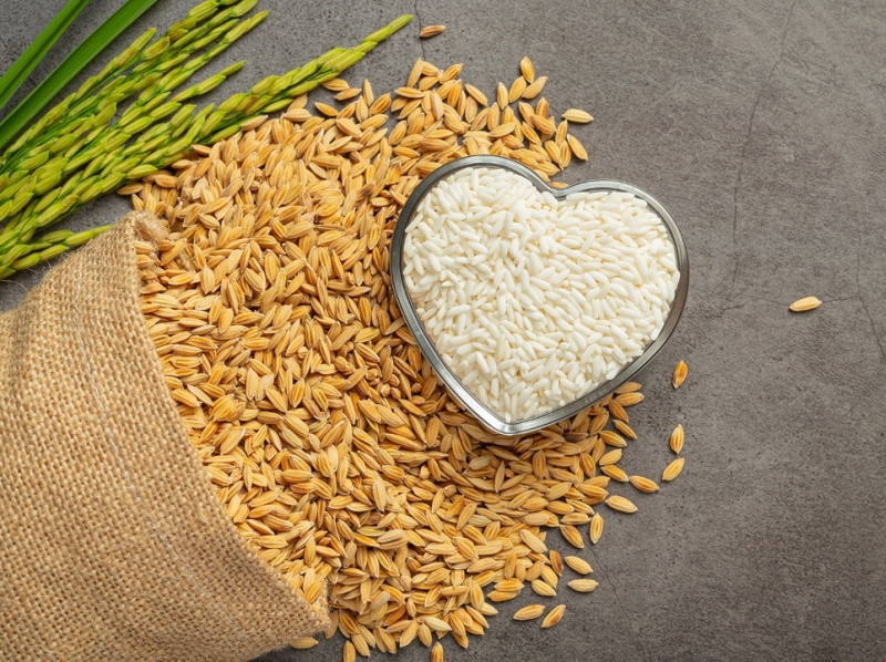 Advantages of online grocery shopping by Ekart Groceries on Dribbble