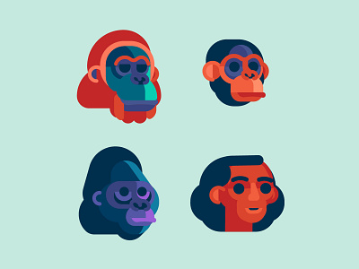 Primates adobeillustrator characterdesign digitalart flatdesign illustration illustrator vector vectoranimation vectorart