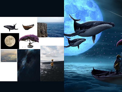 Whale Theme adobe photoshop design photo manipulation