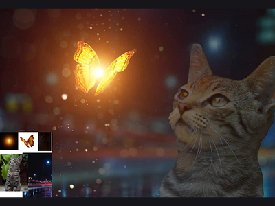 Cat and butterfly design graphic design photo manipulation