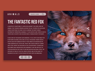 Animals Website Hero Section | oxyelements animals app beautiful branding cool design easy fox graphic design hero hero section illustration logo red section simple typography ui ux vector