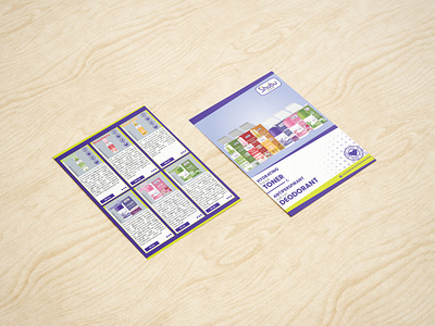 Flyer Design (6inx8in) branding cosmetic design flyer graphic design leaflet roll on toner
