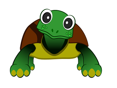 TURTLE ILLUSTRATION