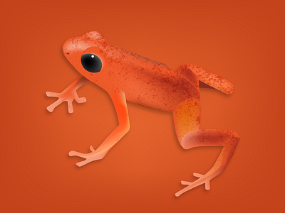 Poisonous Tree Frog 3d frog illustration realistic