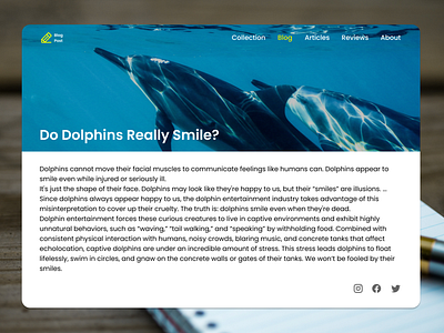 DailyUI #035 Blog Post Page