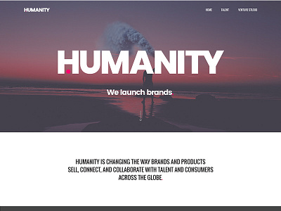 Humanity Brand Concept branding web design web ui design